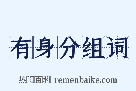 有身分组词是什么意思的图片